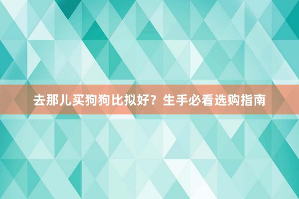 去那儿买狗狗比拟好？生手必看选购指南