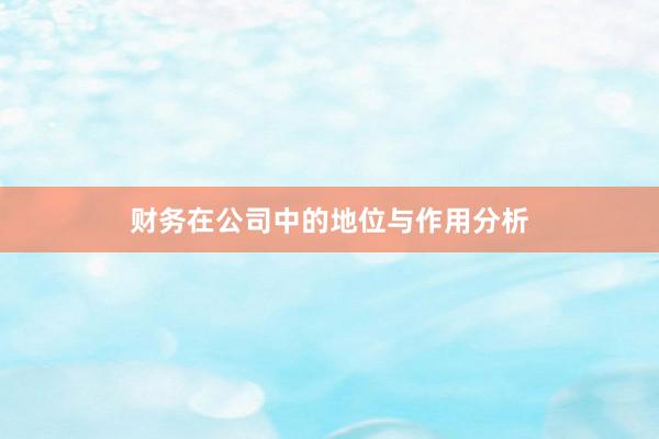 财务在公司中的地位与作用分析
